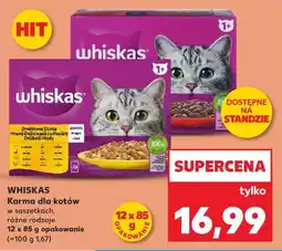 Kaufland Karma dla kota drobiowa uczta w galaretce Whiskas oferta