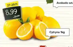 Spiżarnia Smakosza Cytryna Avokado oferta