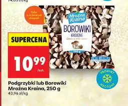 Biedronka Podgrzybki Mroźna Kraina oferta