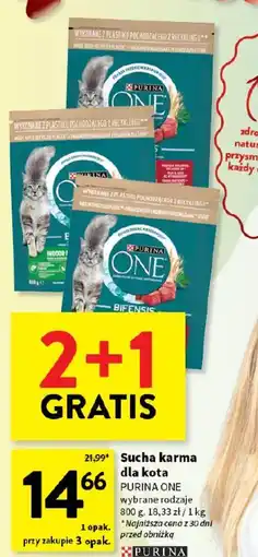 Intermarche Sucha karma dla kota oferta