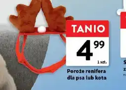 Intermarche Porze renifera oferta