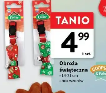 Intermarche Obroża świąteczna oferta