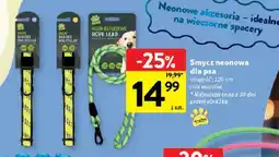 Intermarche Smycz neonowa dla psa oferta