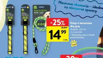 Smycz neonowa dla psa