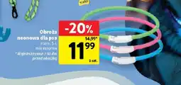 Intermarche Obroża neonowa dla psa oferta