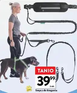 Intermarche Smycz do biegania z psem oferta