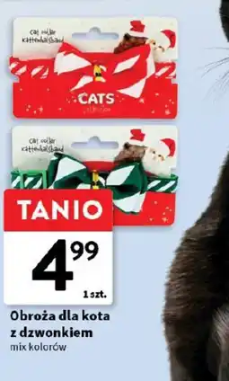 Intermarche Obroża dla kota oferta