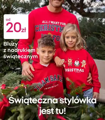 Bluzy z nadrukiem świątecznym