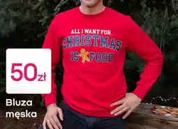 Pepco Bluza męska oferta