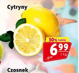 Prim Market Cytryna oferta