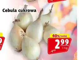 Prim Market Cebula oferta