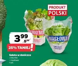 Netto Sałata Polski oferta