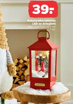 Netto Latarnia led oferta
