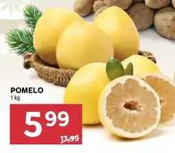 Stokrotka Pomelo oferta