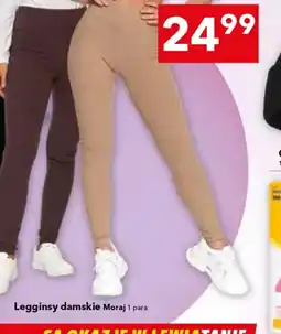 Lewiatan Legginsy damskie Moraj oferta