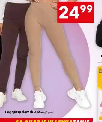 Lewiatan Legginsy damskie Moraj oferta