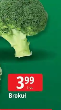 E.Leclerc Brokuł oferta