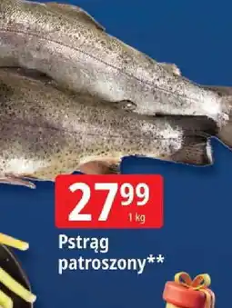 E.Leclerc Pstrąg oferta