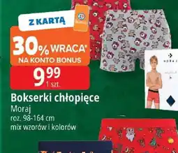E.Leclerc Bokserki chłopięce oferta