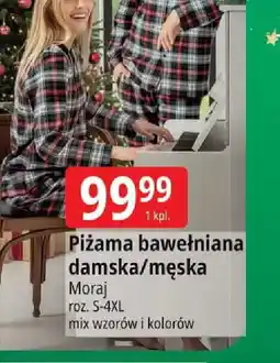 E.Leclerc Piżama bawełniana oferta