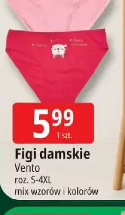 E.Leclerc Figi damskie oferta