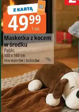 E.Leclerc Maskotka z kocem w środku oferta