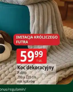 E.Leclerc Koc dekoracyjny oferta