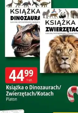 E.Leclerc Książka o Dinozaurach/ Zwierzętach/Kotach oferta
