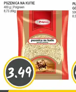 Słoneczko PSZENICA NA KUTIE oferta