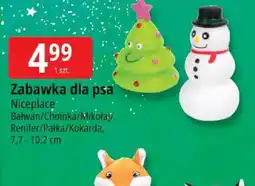 E.Leclerc Zabawka dla psa oferta