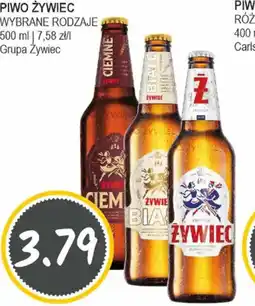 Słoneczko PIWO ZYWIEC oferta