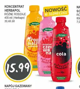 Słoneczko KONCENTRAT HERBAPOL oferta