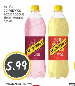 Słoneczko NAPOJ SCHWEPPES oferta