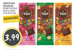 Słoneczko CZEKOLADA COCOACH! oferta