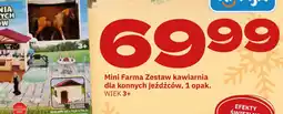 Twój Market Mini Farma Zestaw kawiarnia oferta