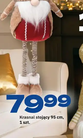 Twój Market Krasnal stojący oferta