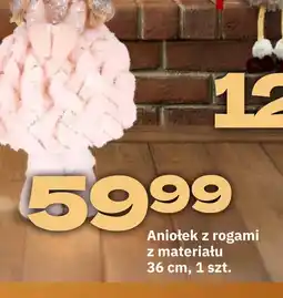 Twój Market Aniołek z rogami oferta