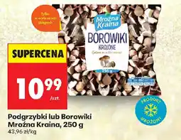 Biedronka Podgrzybki lub Borowiki Mroźna Kraina oferta
