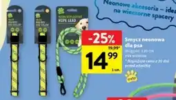 Intermarche Smycz dla psa oferta