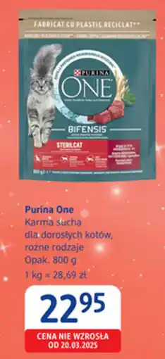 dm drogerie markt Purina One Karma sucha dla dorosłych kotów oferta