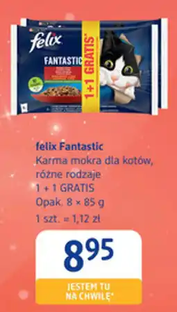 dm drogerie markt Felix fantastic karma mokra dla kotów oferta