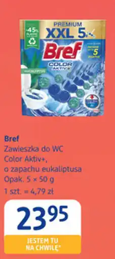 dm drogerie markt Bref Zawieszka do WC Color Aktiv+, oferta