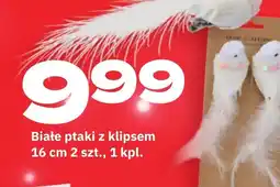 Twój Market Białe ptaki z klipsem oferta