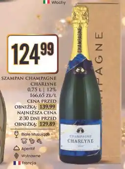 Dino Szampan karton Charlyne oferta