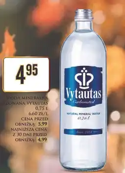 Dino Woda gazowana Vytautas oferta