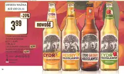 Dino Cydr mango & marakuja Miłosławski oferta