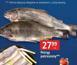 E.Leclerc Pstrąg łososiowy patroszony oferta