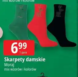 E.Leclerc Skarpetki damskie Moraj oferta