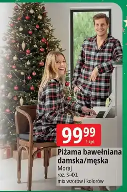 E.Leclerc Piżama męska świąteczna Moraj oferta