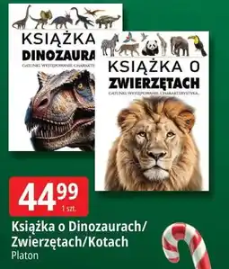 E.Leclerc Książka o kotach oferta